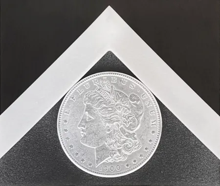 Фотографии Mapplethorpe - Silver Dollar