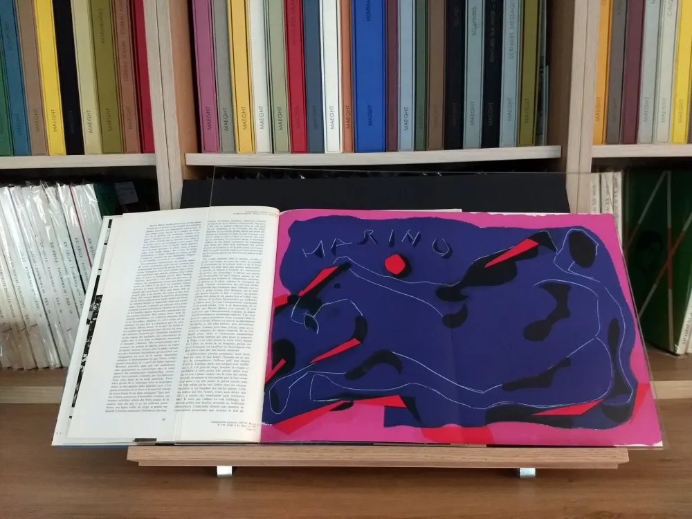 Иллюстрированная Книга Marini - Hommage