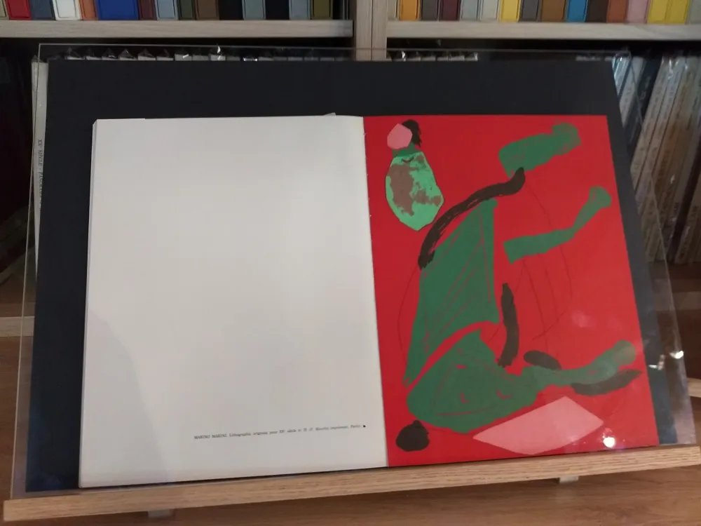 Иллюстрированная Книга Marini - No 35