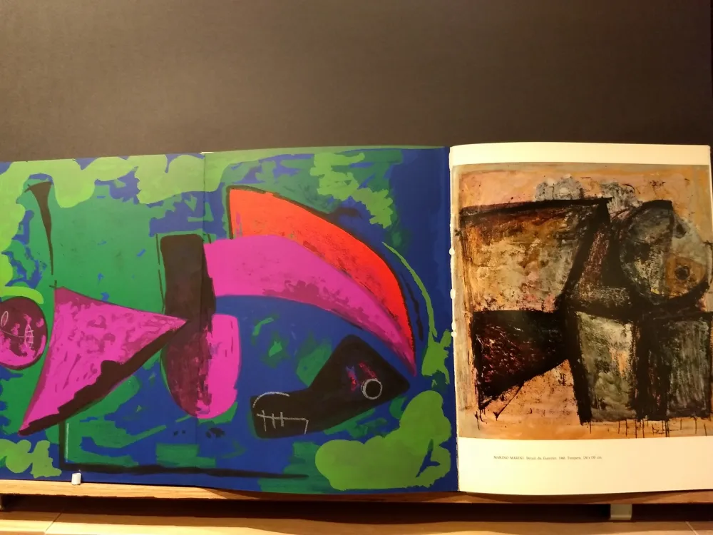 Иллюстрированная Книга Marini - Xxe No 30