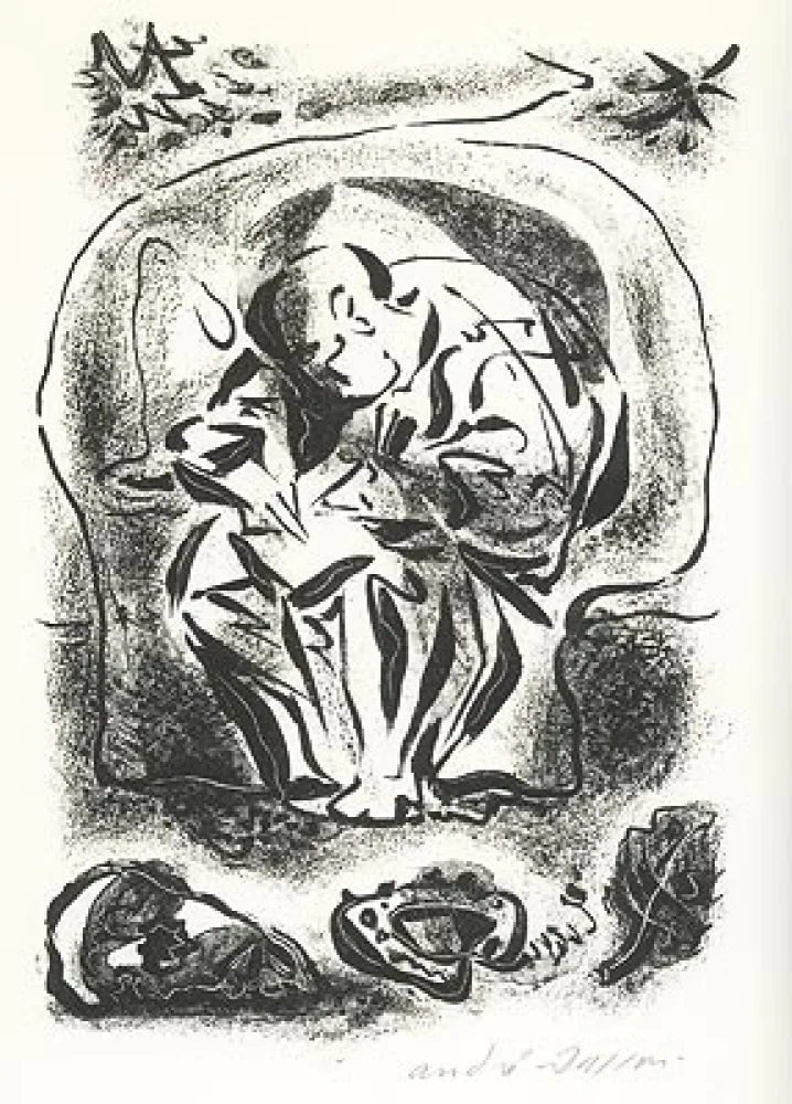 Иллюстрированная Книга Masson - L'Arme secrète