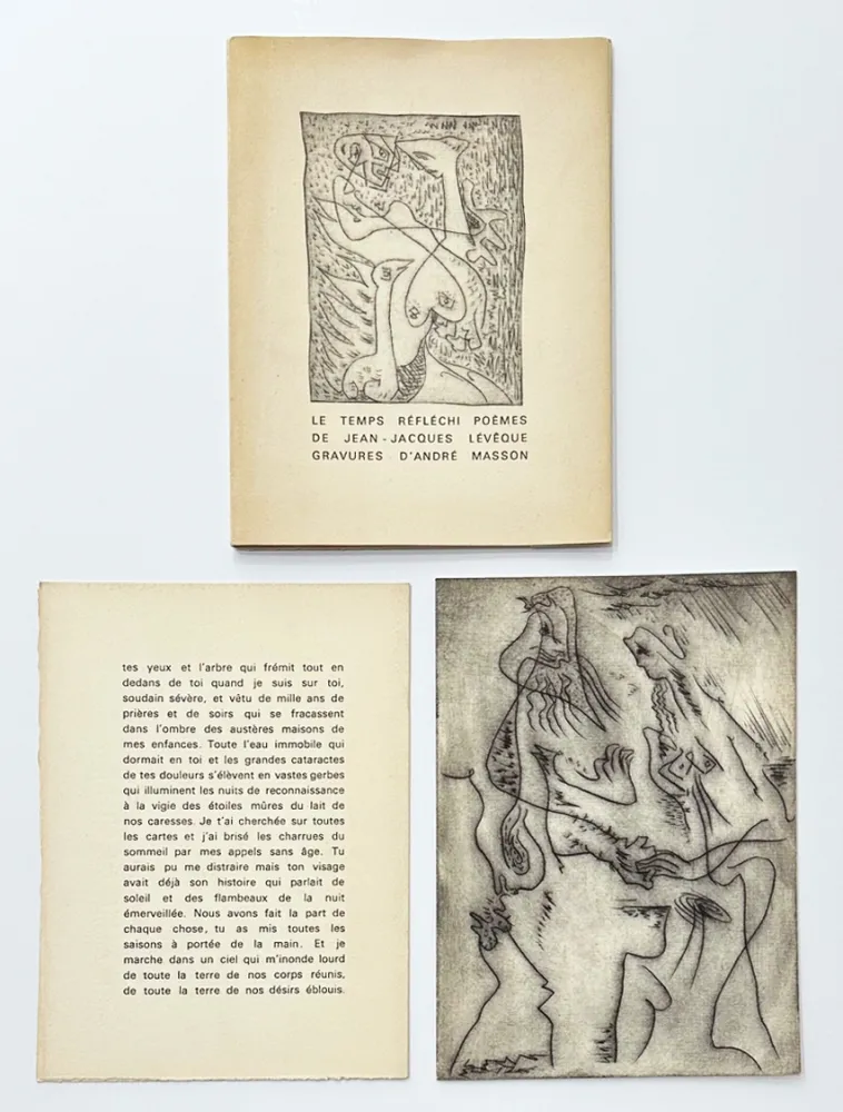 Иллюстрированная Книга Masson - Le temps réfléchi