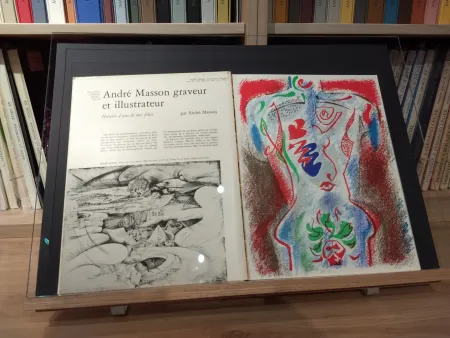 Иллюстрированная Книга Masson - No 38