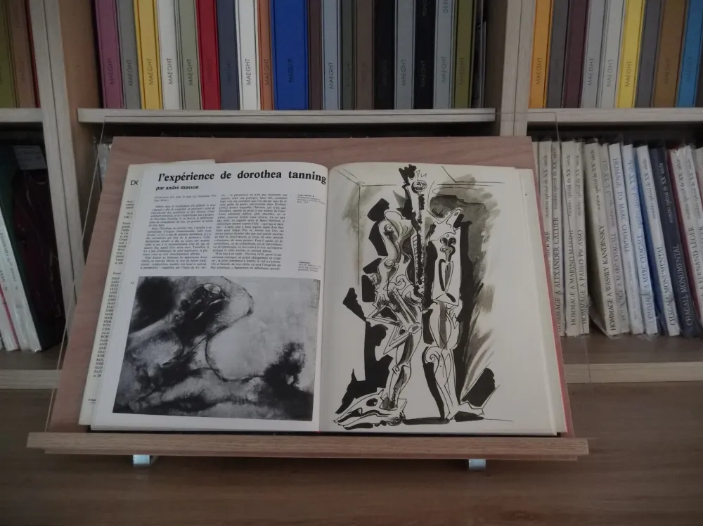 Иллюстрированная Книга Masson - Xxe Tanning