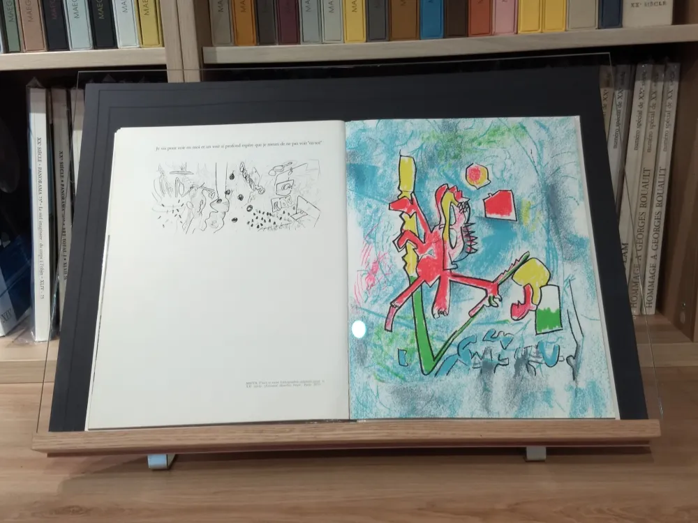 Иллюстрированная Книга Matta - No 45