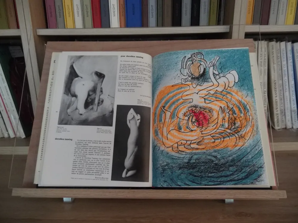 Иллюстрированная Книга Matta - Xxe Tanning