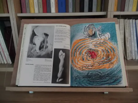 Иллюстрированная Книга Matta - Xxe Tanning