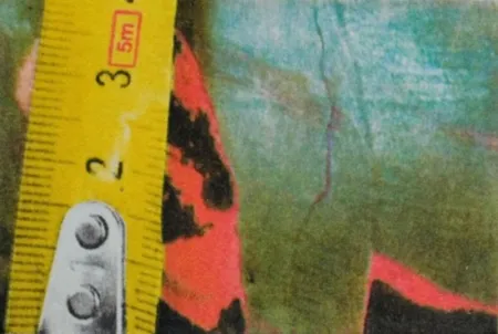 Фотографии Mcbride - Untitled (Rulers III)