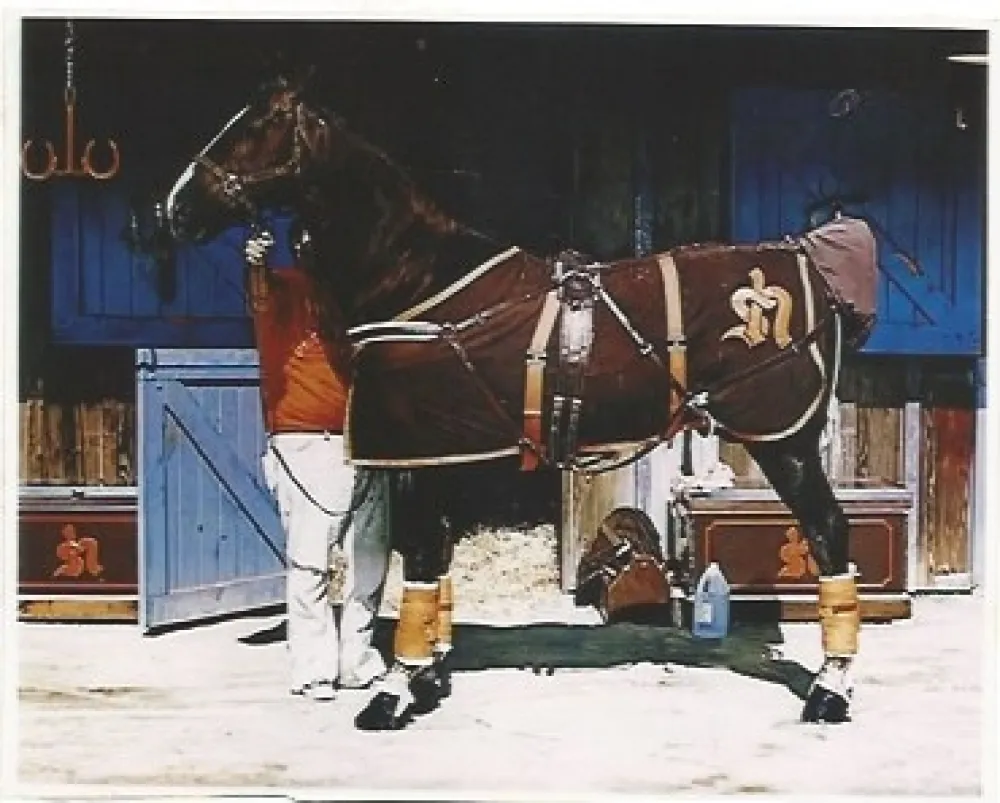 Литография Mclean - Prim Style