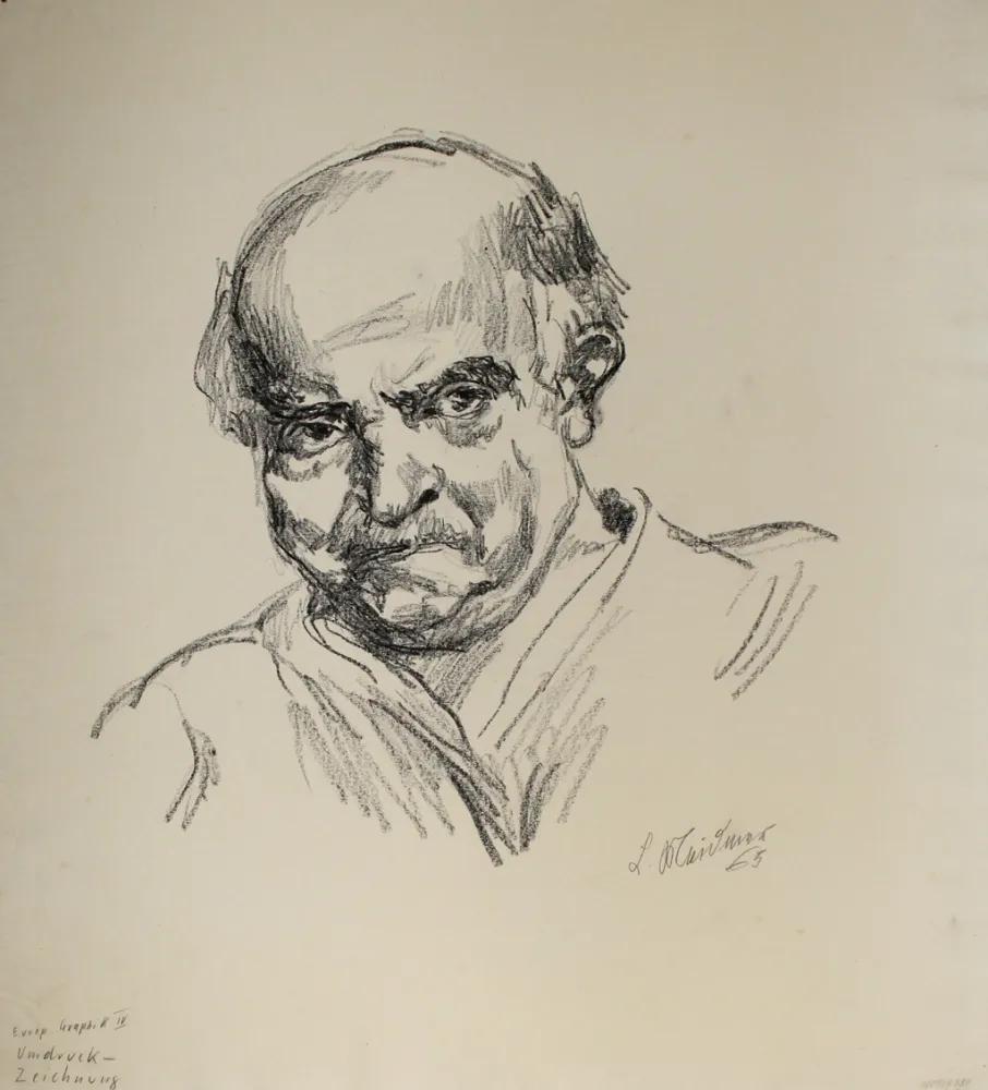 Нет Никаких Технических Meidner - Selbstbildnis nach links