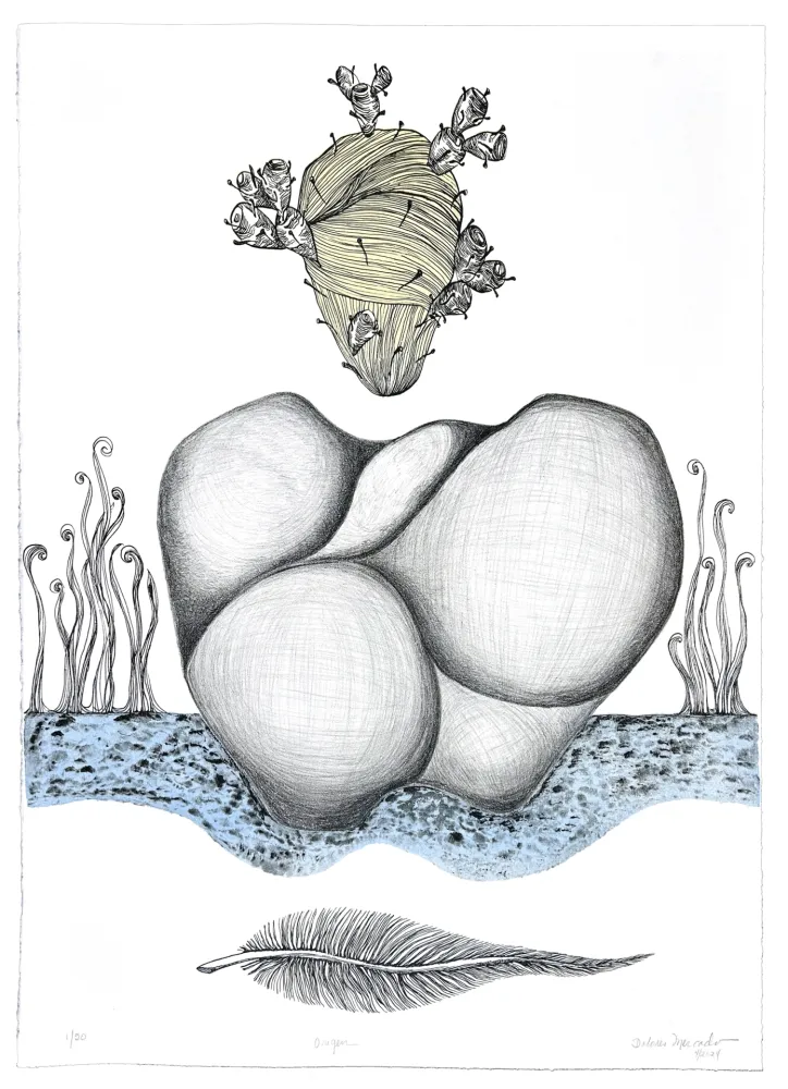 Литография Mercado - Origen