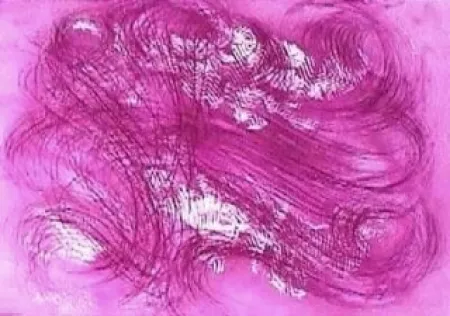 Офорт И Аквитанта Messagier - Les mangeurs de vent 