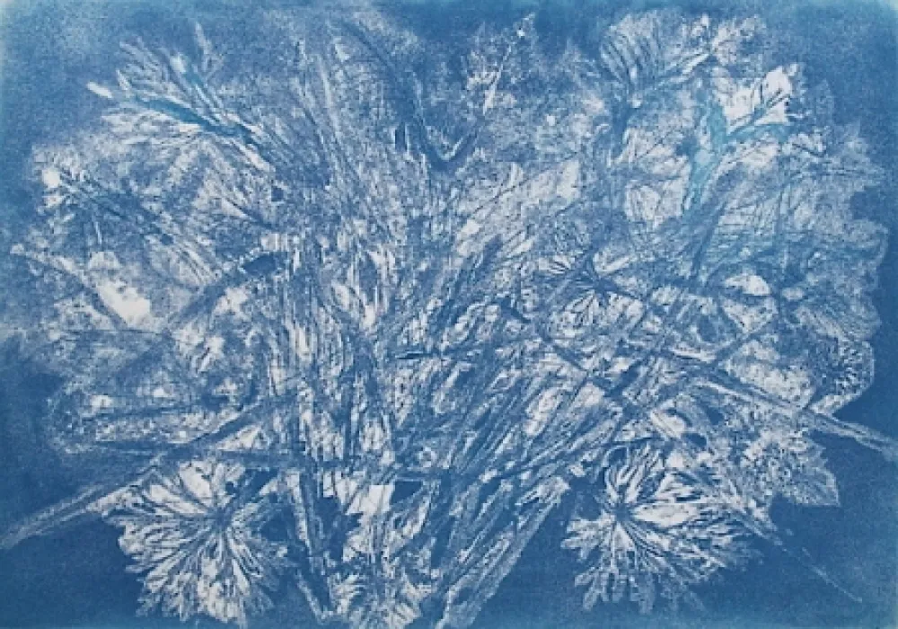 Офорт И Аквитанта Messagier -  Machine à Printemps 