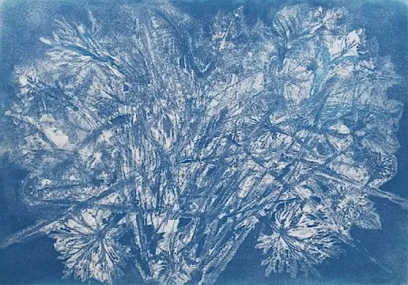 Офорт И Аквитанта Messagier -  Machine à Printemps 