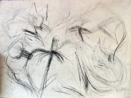 Литография Messagier - Sans titre