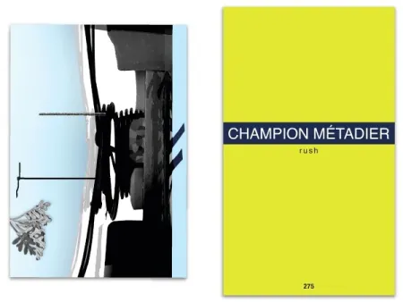 Иллюстрированная Книга Metadier - L'art en écrit