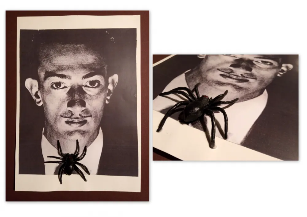 Нет Никаких Технических Metras - Collage - Dalí S/T