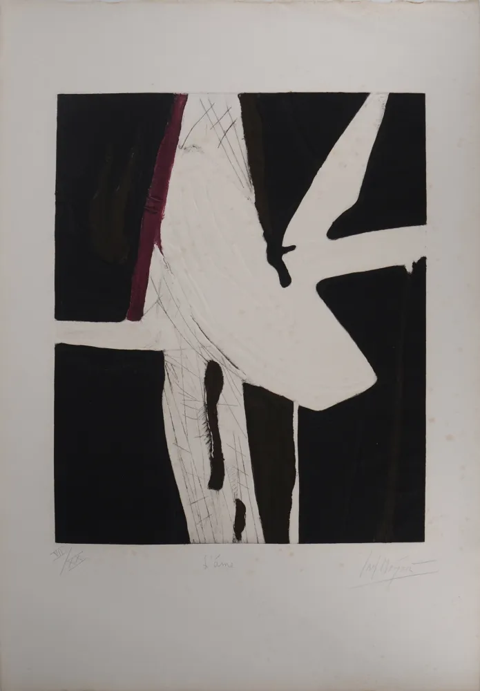 Гравюра Meyer - L'âme