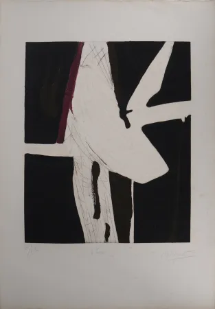 Гравюра Meyer - L'âme