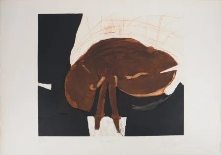 Гравюра Meyer - Le Cœur