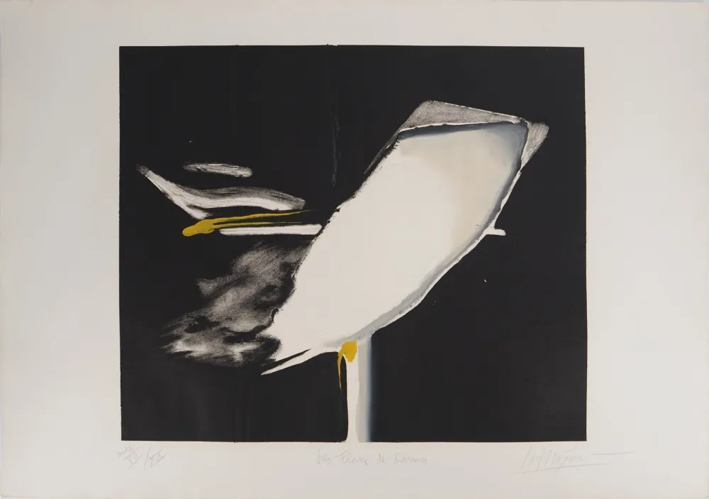 Гравюра Meyer - Les Flots de Larmes