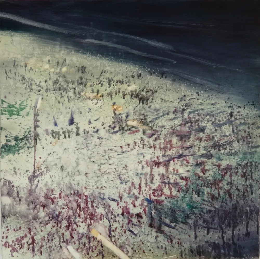 Нет Никаких Технических Meyer - Rio Beach