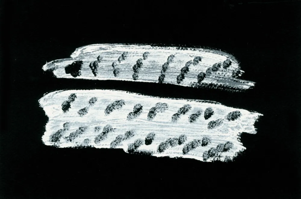 Иллюстрированная Книга Michaux - Comme un ensablement