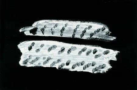 Иллюстрированная Книга Michaux - Comme un ensablement