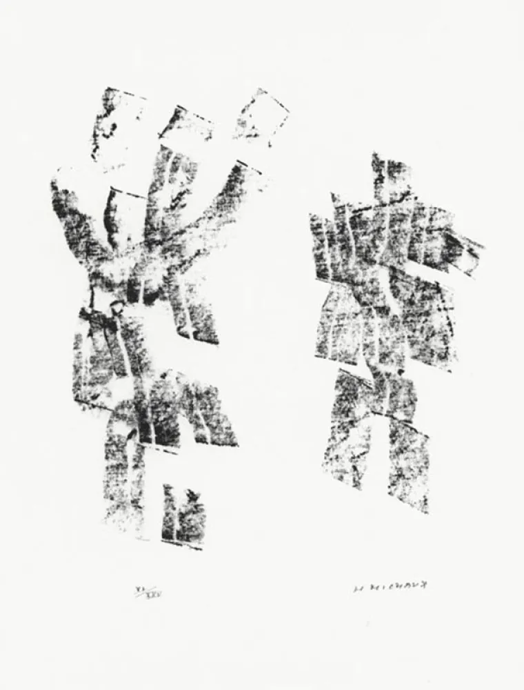 Иллюстрированная Книга Michaux - Décisive pliure du ciel