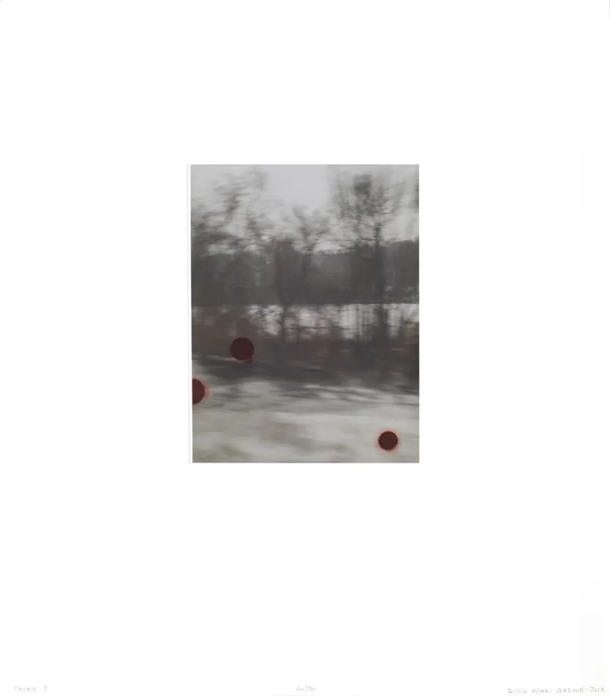 Многоэкземплярное Произведение Mihai Gazcue - Pasaje I