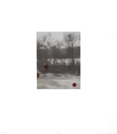 Многоэкземплярное Произведение Mihai Gazcue - Pasaje I