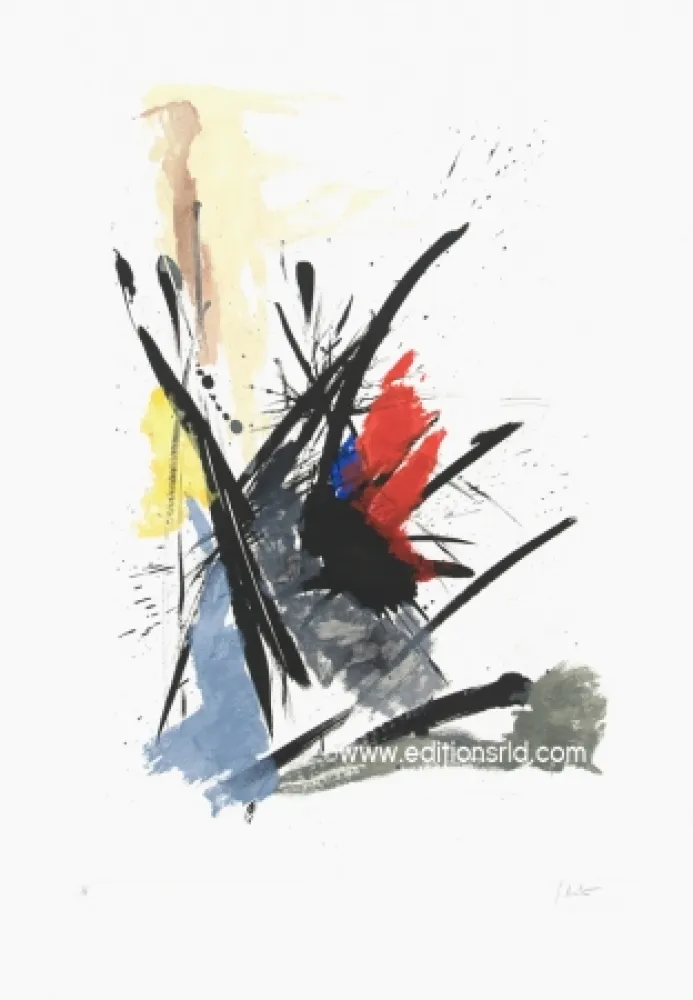 Офорт И Аквитанта Miotte - L'iroquois