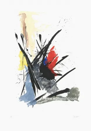 Офорт И Аквитанта Miotte - L'iroquois