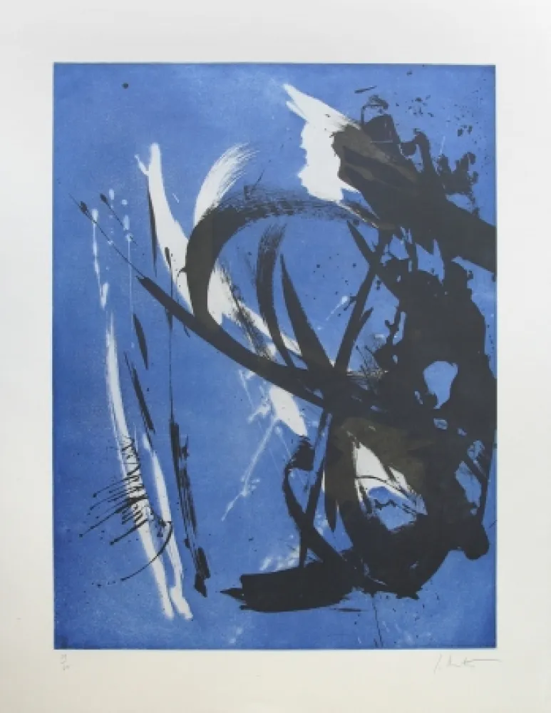 Офорт Miotte - Propos délibérés océan