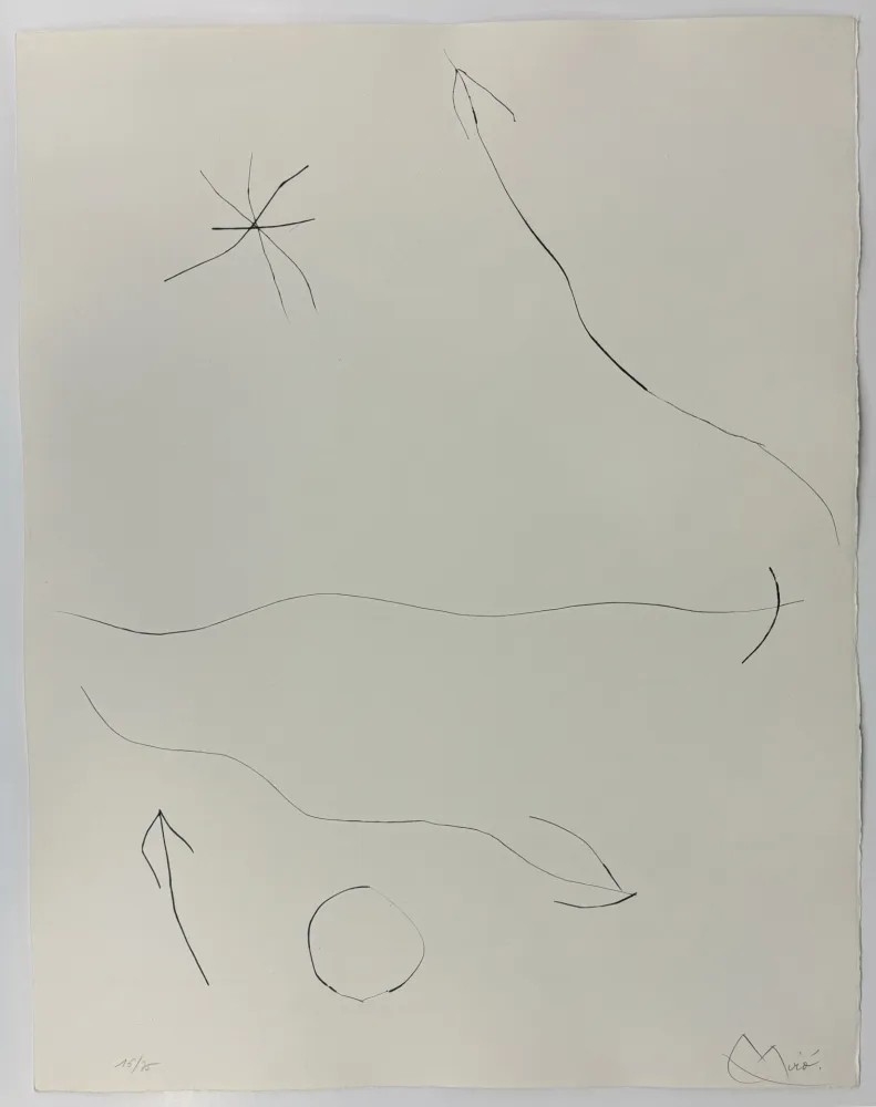 Гравюра Сухой Иглой Miró - Journal d'un graveur II