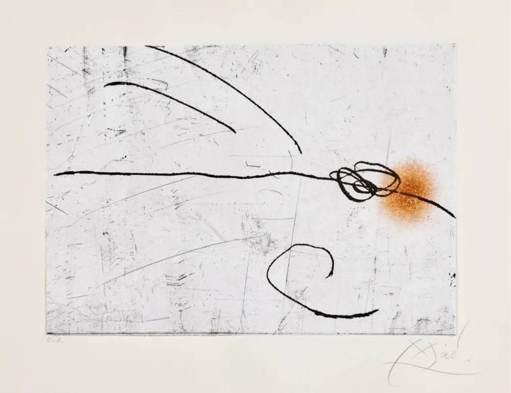 Офорт И Аквитанта Miró - Lapidari