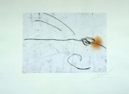 Офорт И Аквитанта Miró - Lapidari, Aquilinus