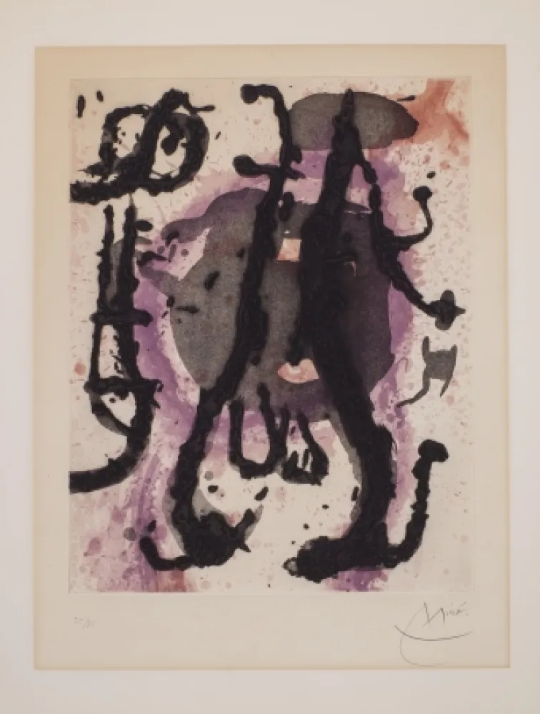 Нет Никаких Технических Miró - Sumo