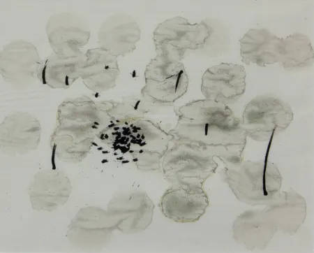 Литография Miró - TRACE SUR L'EAU