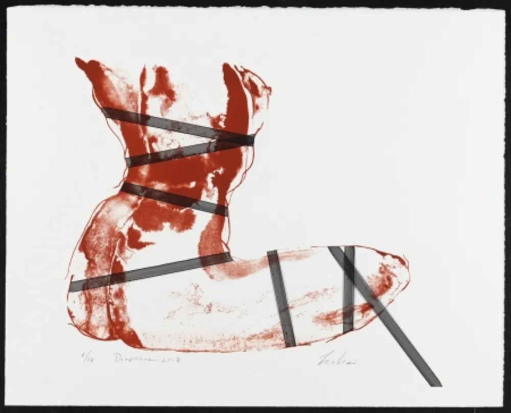 Литография Mizutani - Diaphane