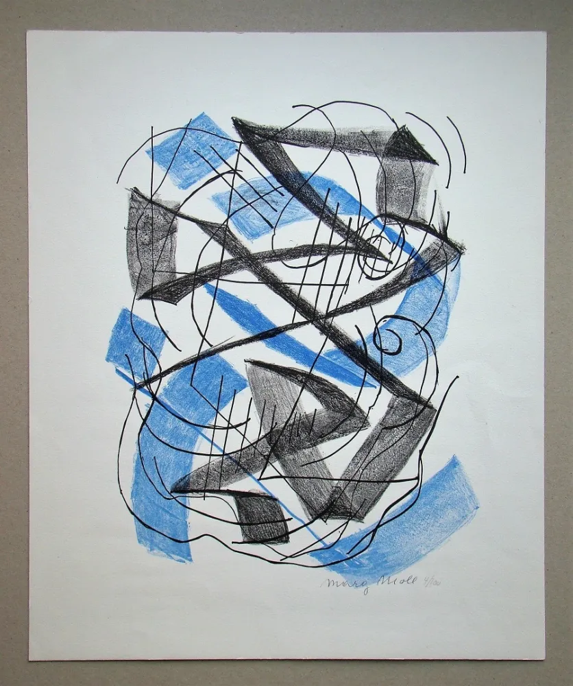 Литография Moll - Lithografie 15