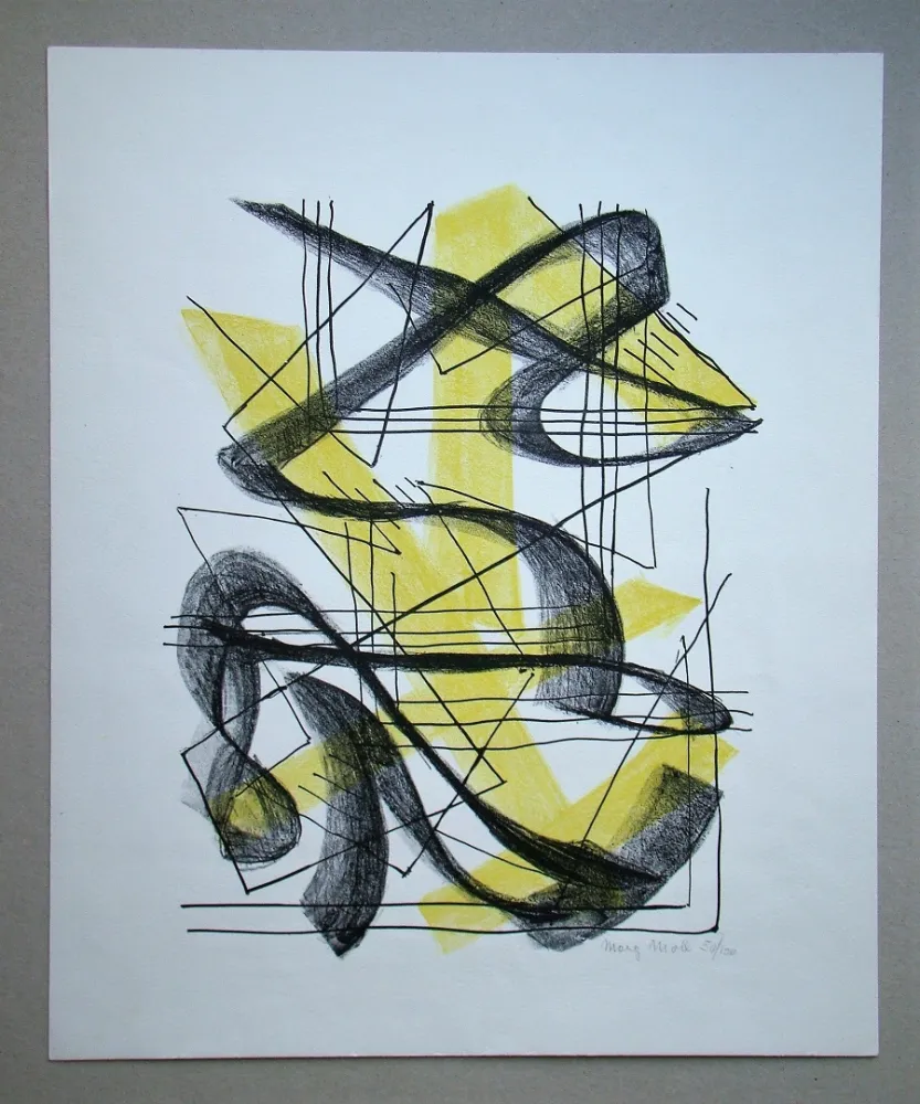 Литография Moll - Lithografie 26