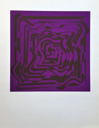 Сериграфия Molnar - Hyper transformation