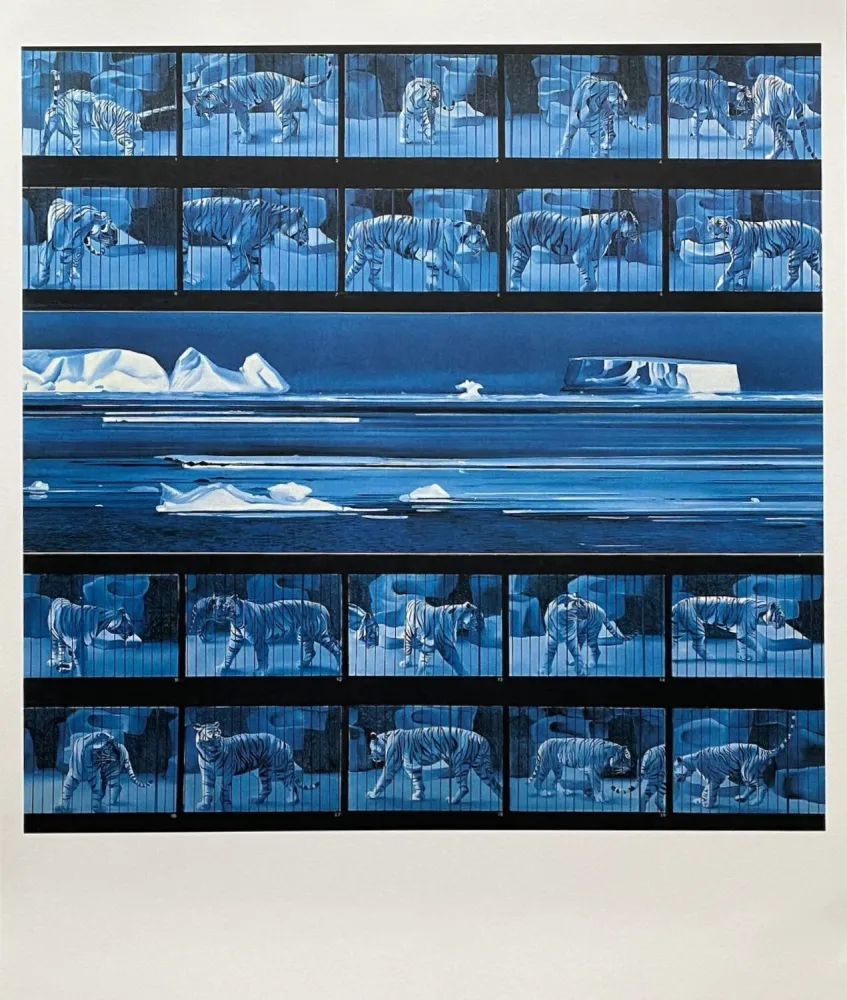 Афиша Monory - Dream tiger No 4