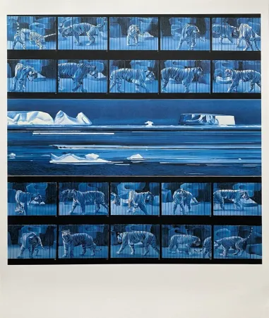 Афиша Monory - Dream tiger No 4