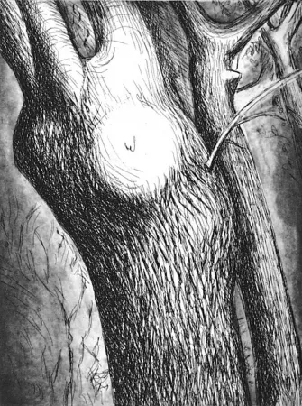 Офорт И Аквитанта Moore - Trees VI dead ash