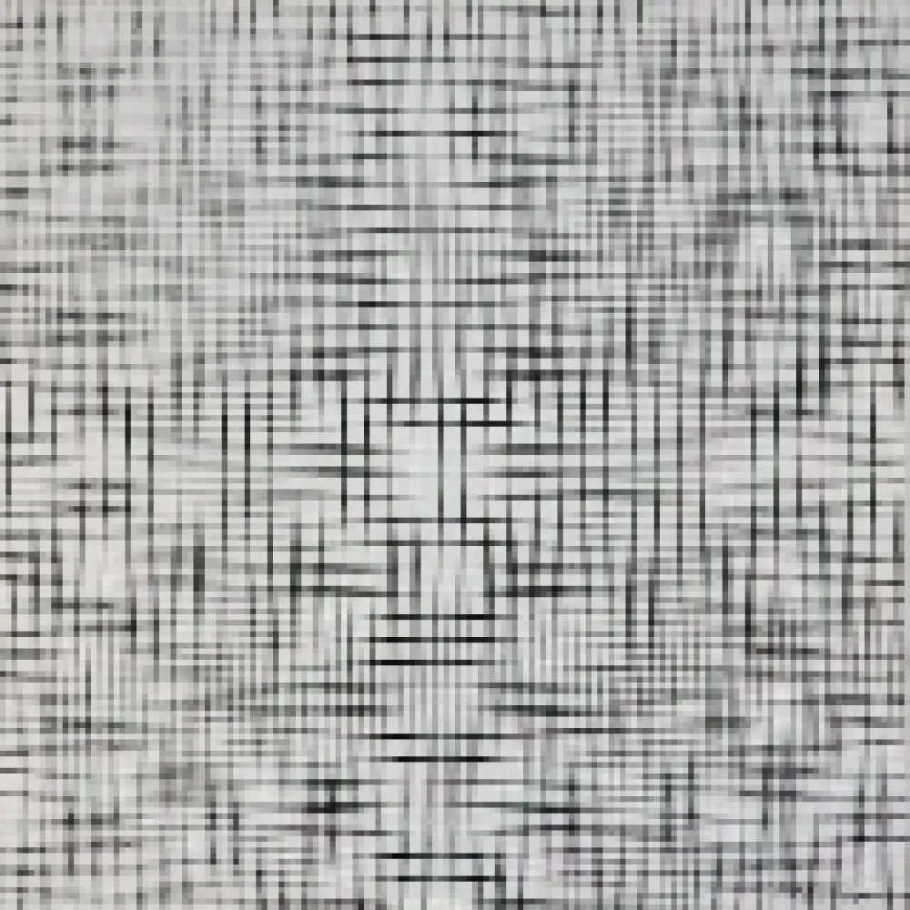 Сериграфия Morellet - 2 doubles trames