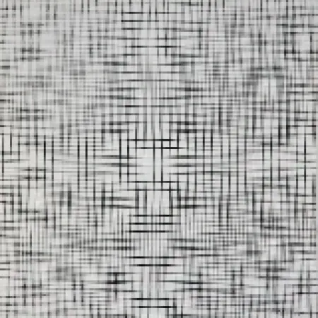 Сериграфия Morellet - 2 doubles trames