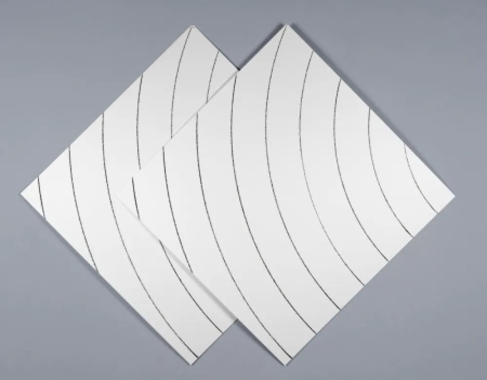 Сериграфия Morellet - Ondes parasites 1