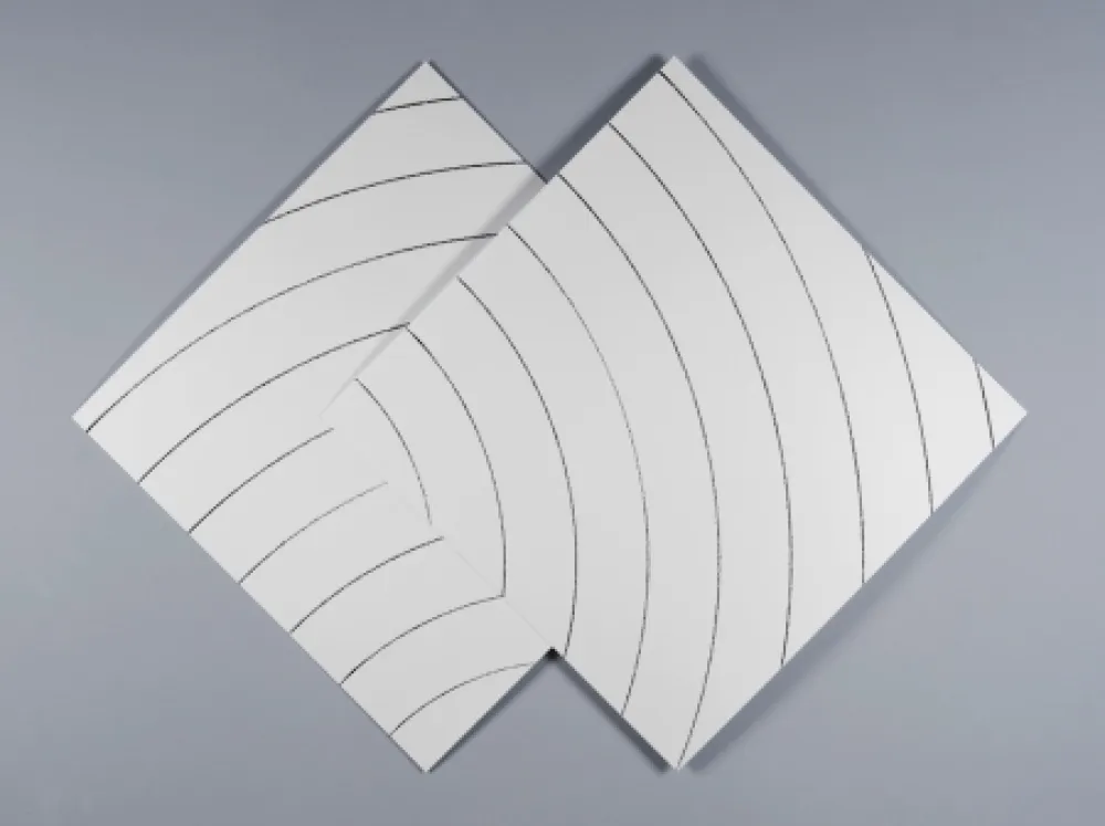 Сериграфия Morellet - Ondes parasites 2